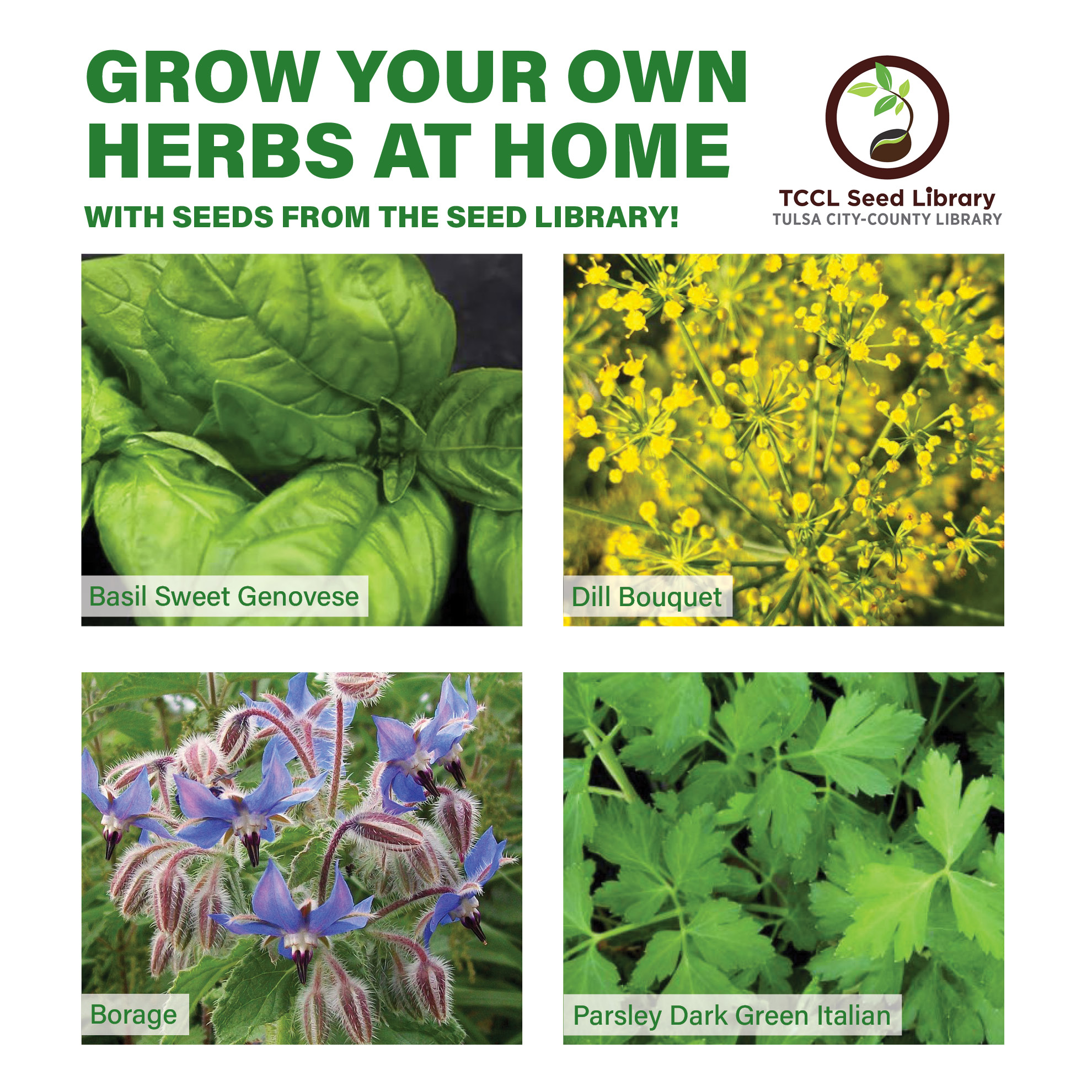 Resource Spotlight Herbs! Tulsa Library